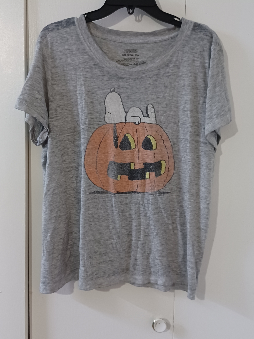 Peanuts Snoopy Pumpkin Graphic  Tee - Light Gray